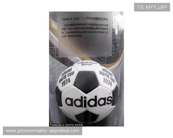 世界杯官方比赛球